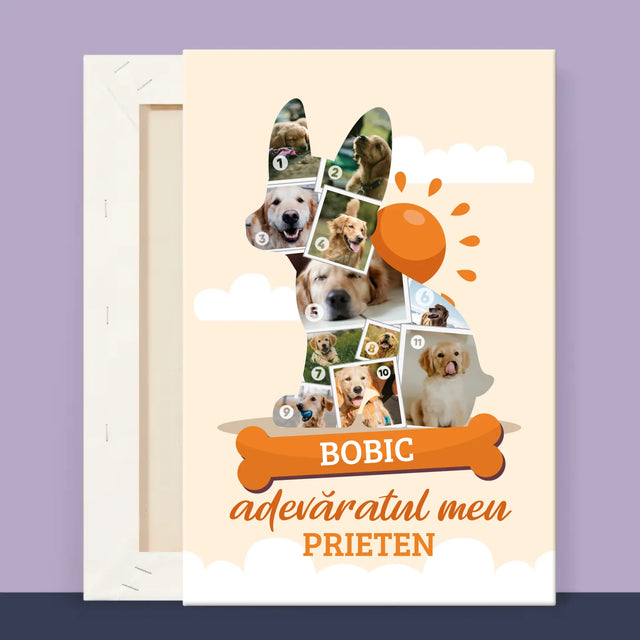 2 - 20x30 40x60 60x90