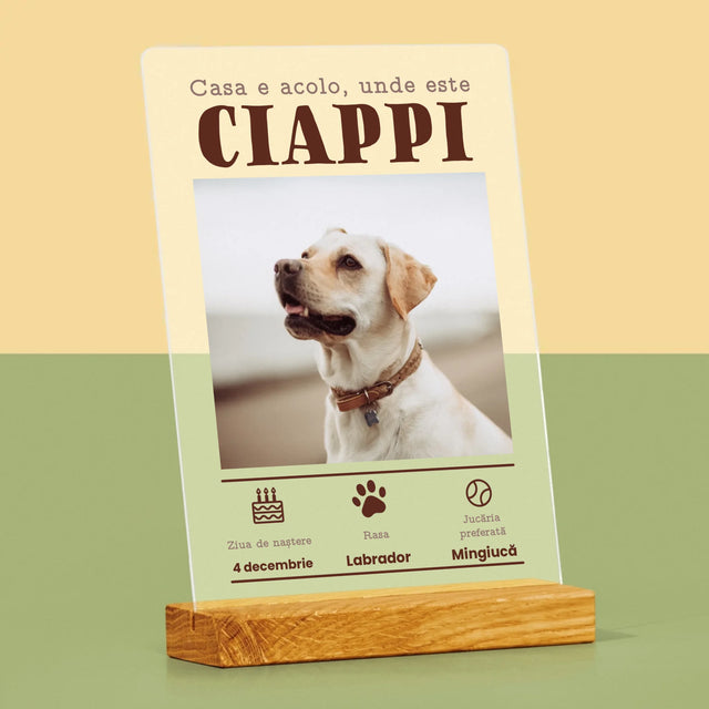 Fotografie Si Semnătură: Certificat De Naștere A Cățălușului - Imprimare Pe Sticlă Acrilică (Verticală)