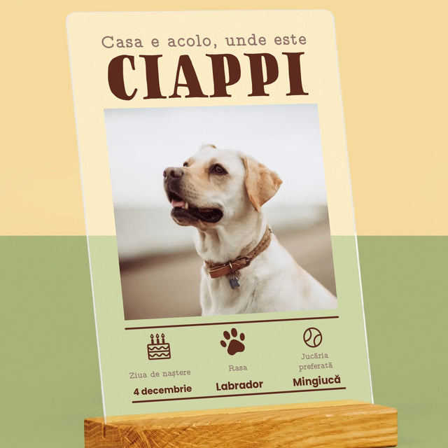 Fotografie Si Semnătură: Certificat De Naștere A Cățălușului - Imprimare Pe Sticlă Acrilică (Verticală)