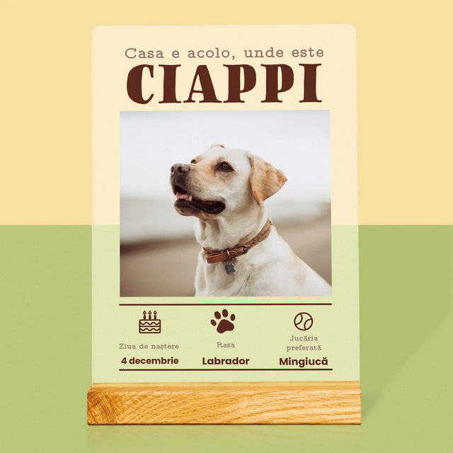 Fotografie Si Semnătură: Certificat De Naștere A Cățălușului - Imprimare Pe Sticlă Acrilică (Verticală)