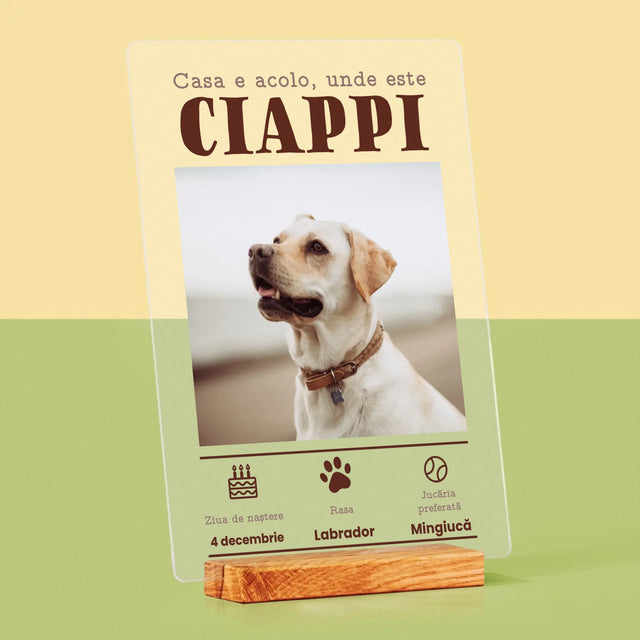 Fotografie Si Semnătură: Certificat De Naștere A Cățălușului - Imprimare Pe Sticlă Acrilică (Verticală)