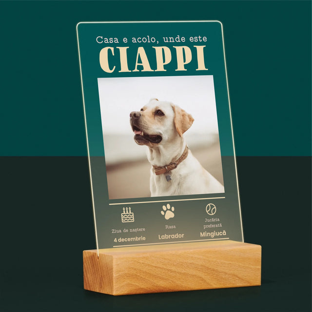 Fotografie Si Semnătură: Certificat De Naștere A Cățălușului - Imprimare Pe Sticlă Acrilică (Verticală)