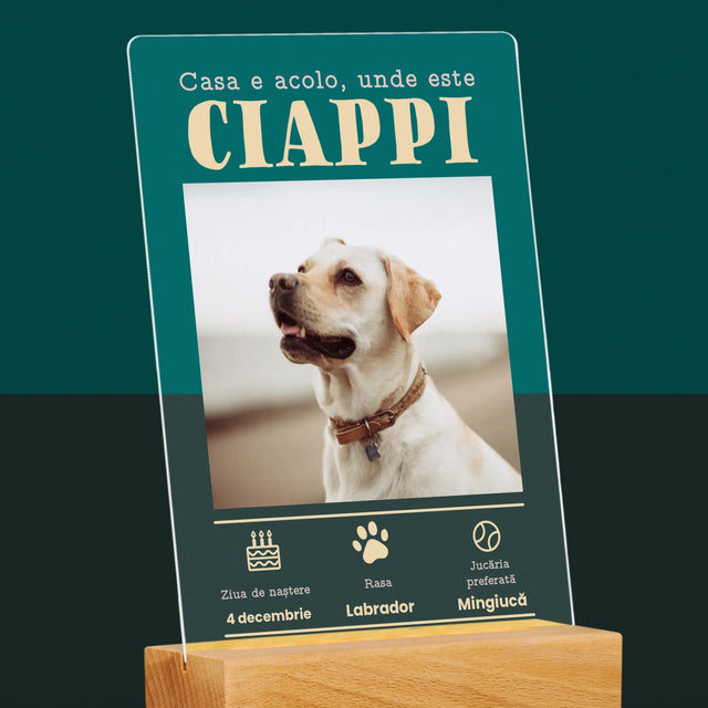 Fotografie Si Semnătură: Certificat De Naștere A Cățălușului - Imprimare Pe Sticlă Acrilică (Verticală)