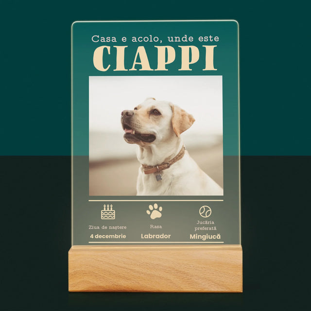 Fotografie Si Semnătură: Certificat De Naștere A Cățălușului - Imprimare Pe Sticlă Acrilică (Verticală)