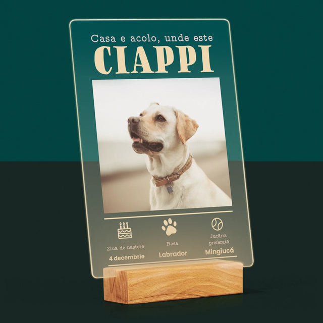 Fotografie Si Semnătură: Certificat De Naștere A Cățălușului - Imprimare Pe Sticlă Acrilică (Verticală)