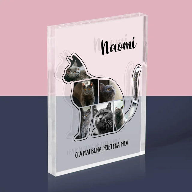Formă Din Fotografii: Mâțul Cel Mai Bun Prieten - Bloc Acrilic