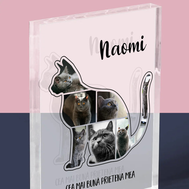 Formă Din Fotografii: Mâțul Cel Mai Bun Prieten - Bloc Acrilic