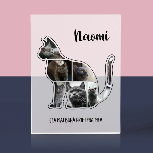 Formă Din Fotografii: Mâțul Cel Mai Bun Prieten - Bloc Acrilic
