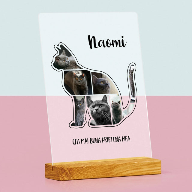 Formă Din Fotografii: Mâțul Cel Mai Bun Prieten - Imprimare Pe Sticlă Acrilică (Verticală)