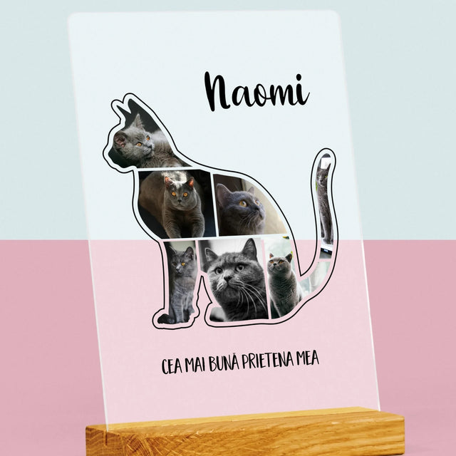 Formă Din Fotografii: Mâțul Cel Mai Bun Prieten - Imprimare Pe Sticlă Acrilică (Verticală)