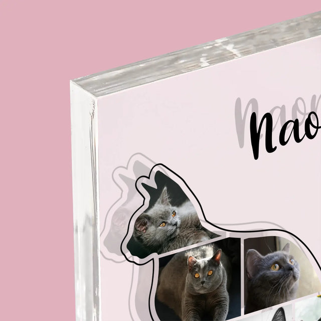 Formă Din Fotografii: Mâțul Cel Mai Bun Prieten - Bloc Acrilic