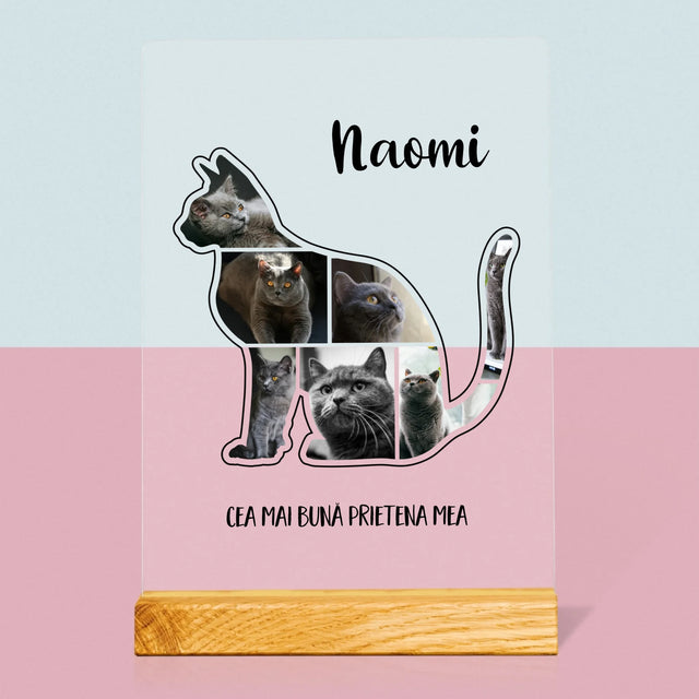 Formă Din Fotografii: Mâțul Cel Mai Bun Prieten - Imprimare Pe Sticlă Acrilică (Verticală)