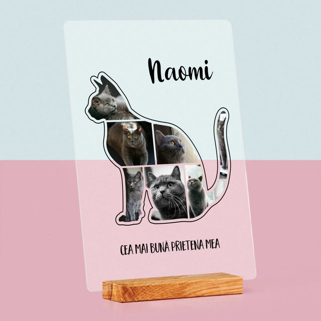 Formă Din Fotografii: Mâțul Cel Mai Bun Prieten - Imprimare Pe Sticlă Acrilică (Verticală)