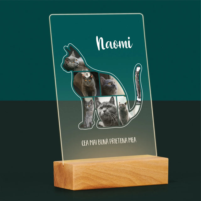 Formă Din Fotografii: Mâțul Cel Mai Bun Prieten - Imprimare Pe Sticlă Acrilică (Verticală)