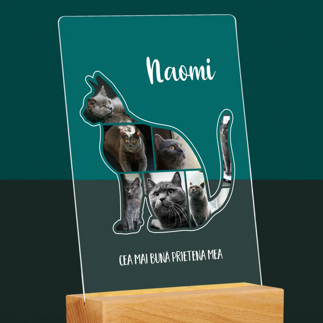 Formă Din Fotografii: Mâțul Cel Mai Bun Prieten - Imprimare Pe Sticlă Acrilică (Verticală)