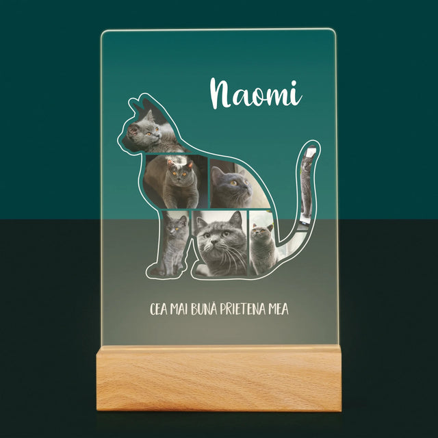 Formă Din Fotografii: Mâțul Cel Mai Bun Prieten - Imprimare Pe Sticlă Acrilică (Verticală)