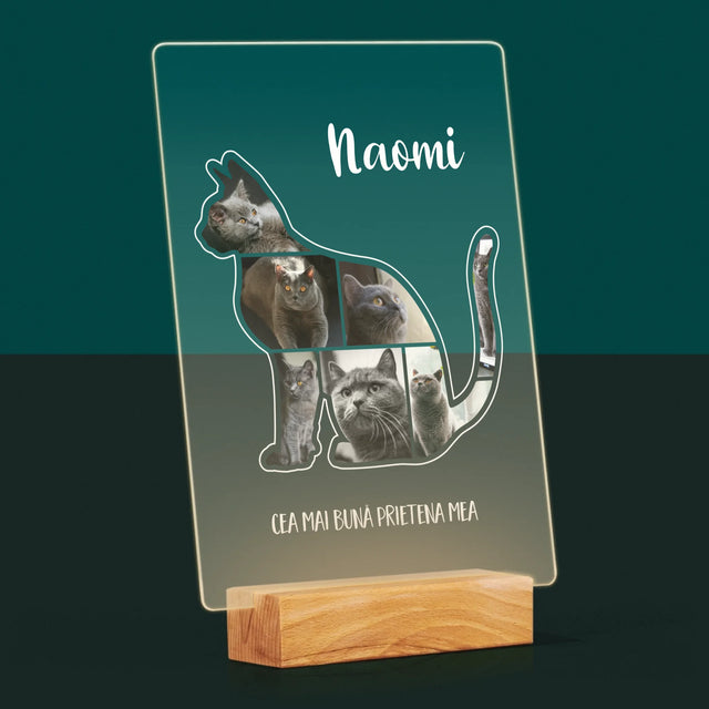 Formă Din Fotografii: Mâțul Cel Mai Bun Prieten - Imprimare Pe Sticlă Acrilică (Verticală)