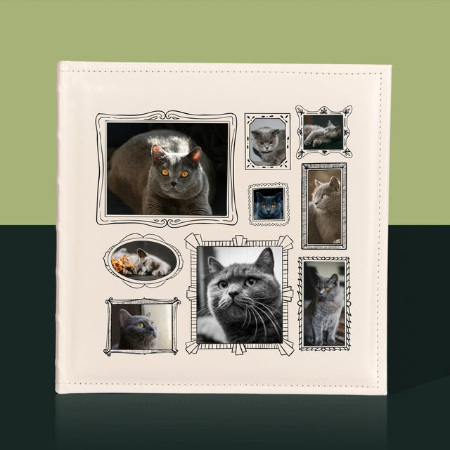 Colaj De Fotografii: Perete Galereia Cu Pisic - Album Foto