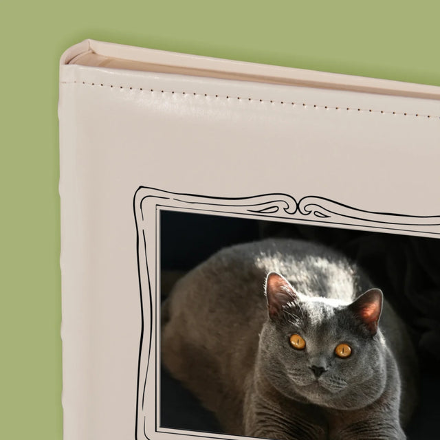 Colaj De Fotografii: Perete Galereia Cu Pisic - Album Foto