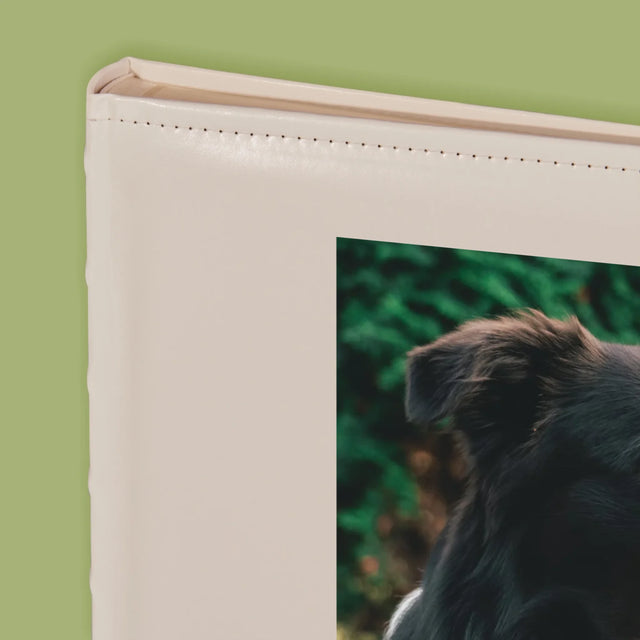 Fotografie Si Semnătură: Cățeluș Definiția - Album Foto