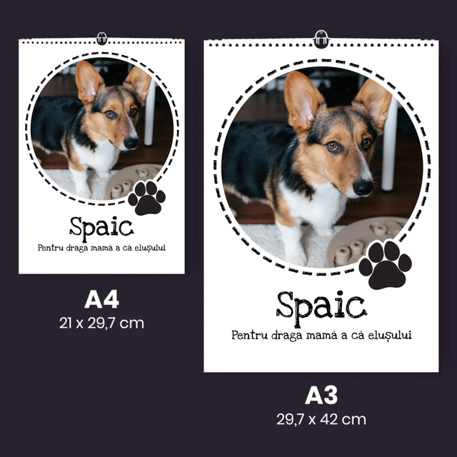 Fotografie Si Semnătură: Drăguțul Blănos - Calendar De Perete