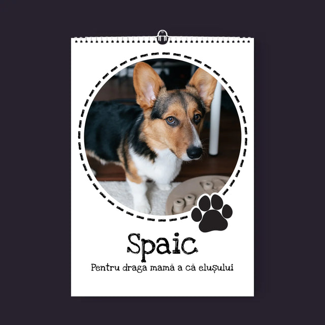 Fotografie Si Semnătură: Drăguțul Blănos - Calendar De Perete