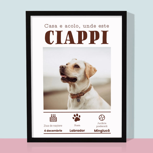 Fotografie Si Semnătură: Certificat De Naștere A Cățălușului - Imprimare Cu Ramă 30X40 (Verticală)