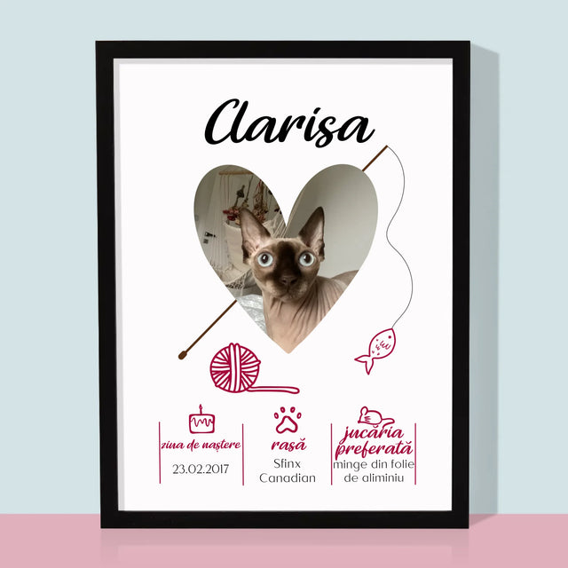 Fotografie Si Semnătură: Mâț Certificat De Naștere - Imprimare Cu Ramă 30X40 (Verticală)