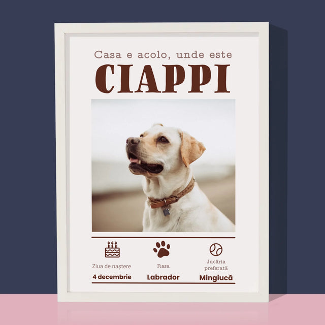 Fotografie Si Semnătură: Certificat De Naștere A Cățălușului - Imprimare Cu Ramă 30X40 (Verticală)