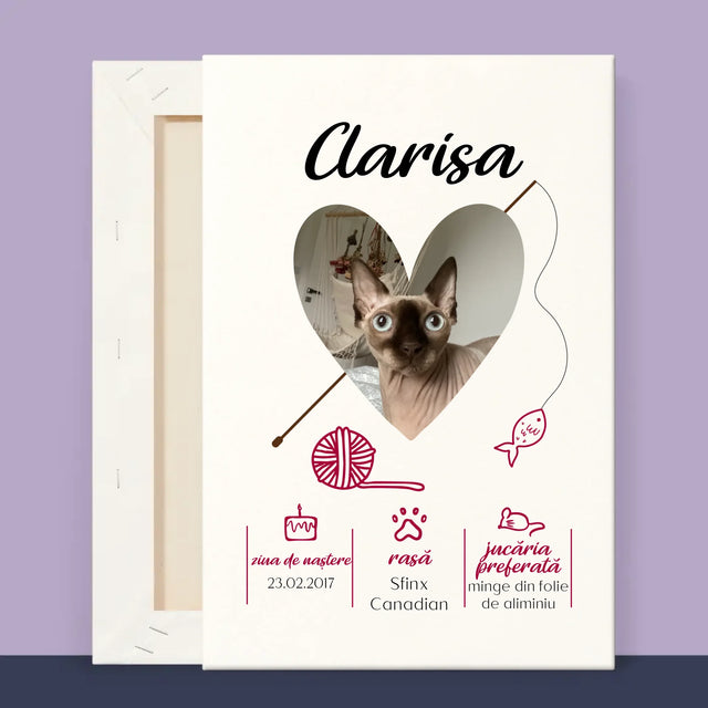 2 - 20x30 40x60 60x90