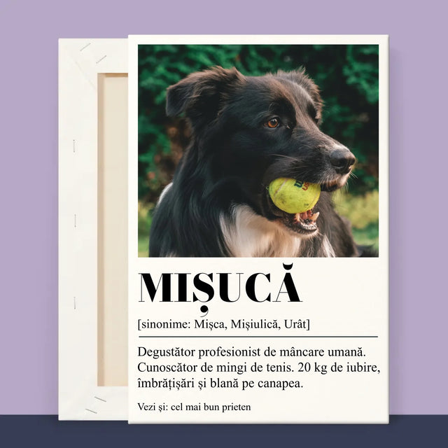 2 - 20x30 40x60 60x90