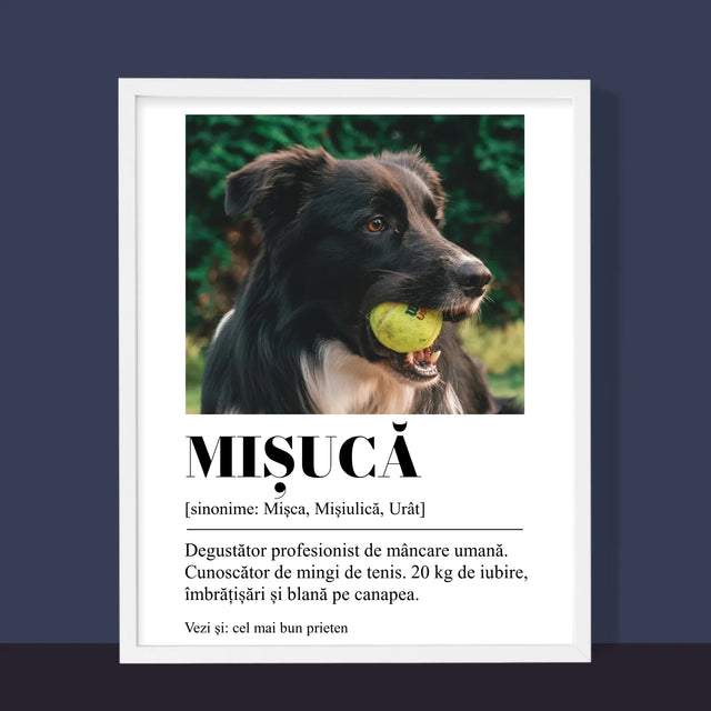 Fotografie Si Semnătură: Cățeluș Definiția - Imprimare Cu Ramă 30X40 (Verticală)