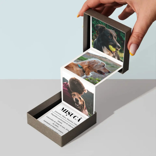 Fotografie Si Semnătură: Cățeluș Definiția - Set De Fotografii Pliante