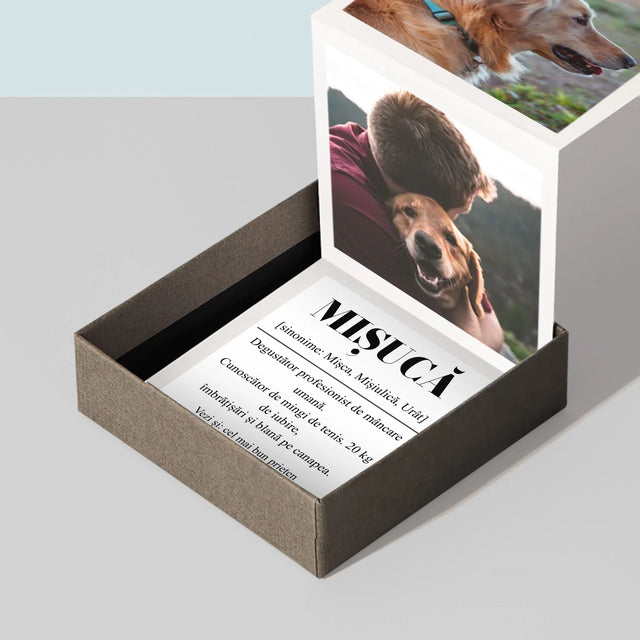 Fotografie Si Semnătură: Cățeluș Definiția - Set De Fotografii Pliante