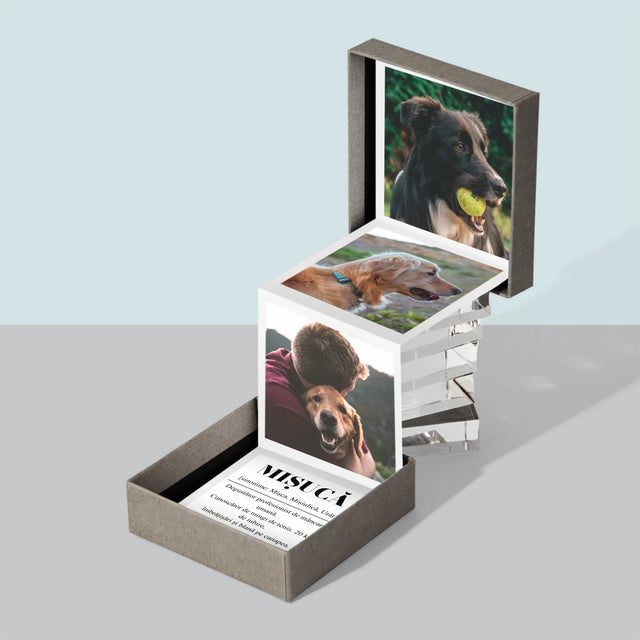 Fotografie Si Semnătură: Cățeluș Definiția - Set De Fotografii Pliante