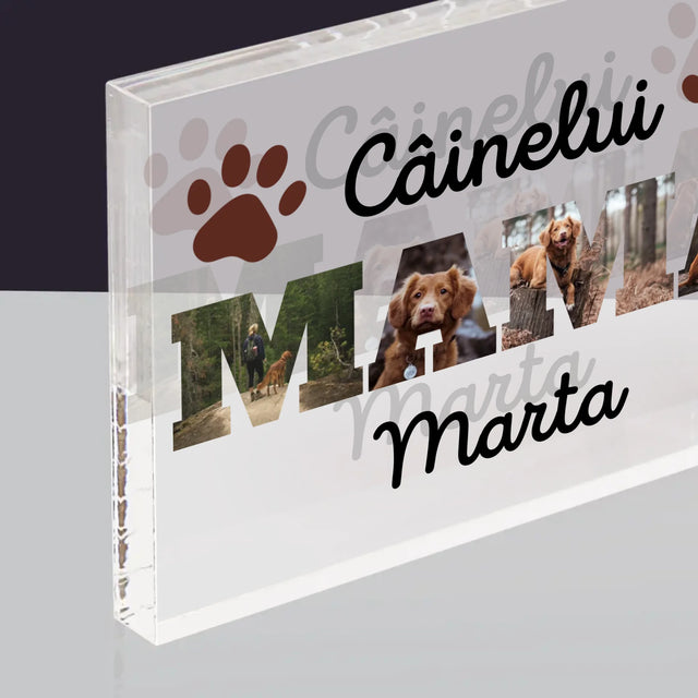 Cuvânt Din Fotografii: Mama Câinelui Din Fotografiile Tale - Bloc Acrilic