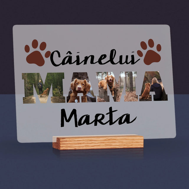 Cuvânt Din Fotografii: Mama Câinelui Din Fotografiile Tale - Imprimare Pe Sticlă Acrilică (Horizontală)