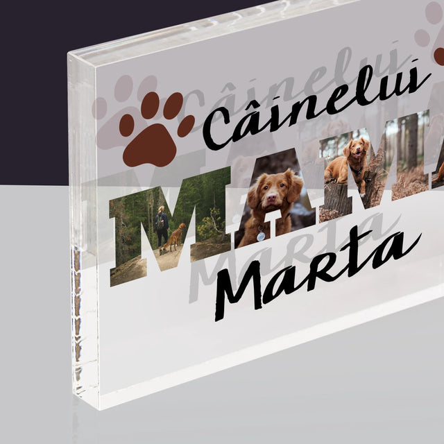 Cuvânt Din Fotografii: Mama Câinelui Din Fotografiile Tale - Bloc Acrilic