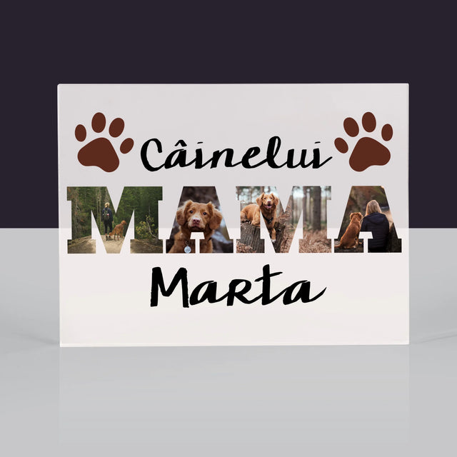 Cuvânt Din Fotografii: Mama Câinelui Din Fotografiile Tale - Bloc Acrilic
