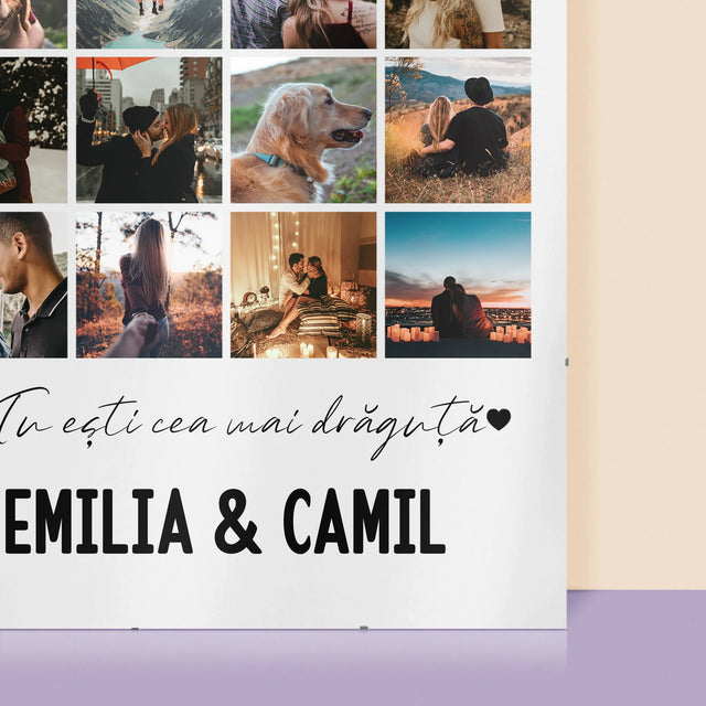 Colaj De Fotografii: Din Totă Lumea Pe Pământ - Poster