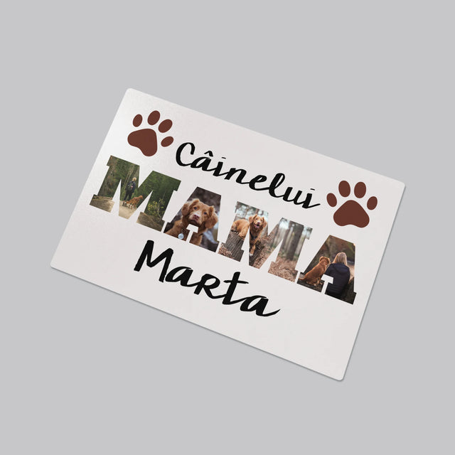 Cuvânt Din Fotografii: Mama Câinelui Din Fotografiile Tale - Mapa De Birou