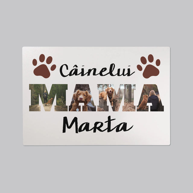 Cuvânt Din Fotografii: Mama Câinelui Din Fotografiile Tale - Mapa De Birou