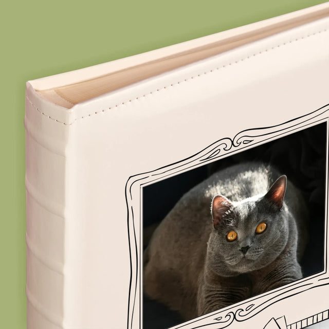 Colaj De Fotografii: Perete Galereia Cu Pisic - Album Foto