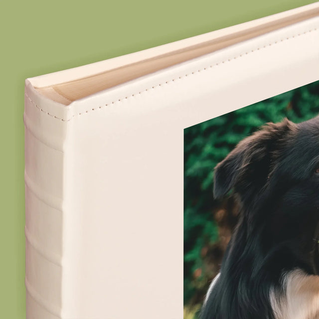 Fotografie Si Semnătură: Cățeluș Definiția - Album Foto