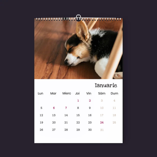 Fotografie Si Semnătură: Drăguțul Blănos - Calendar De Perete