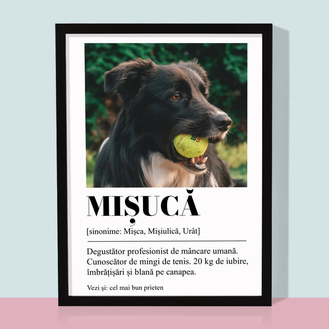 Fotografie Si Semnătură: Cățeluș Definiția - Imprimare Cu Ramă 30X40 (Verticală)