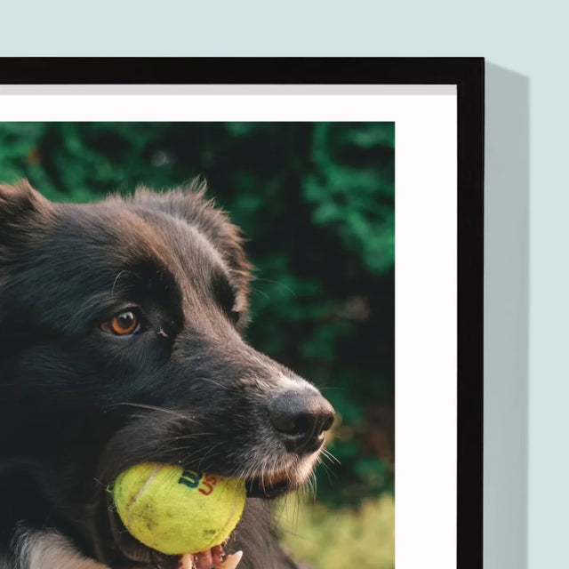 Fotografie Si Semnătură: Cățeluș Definiția - Imprimare Cu Ramă 30X40 (Verticală)