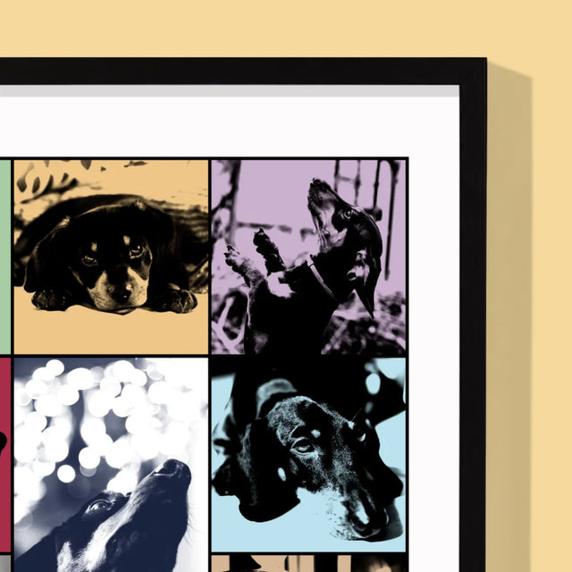 Colaj De Fotografii: Cățeluș Ca Taylor - Imprimare Cu Ramă 30X40 (Verticală)