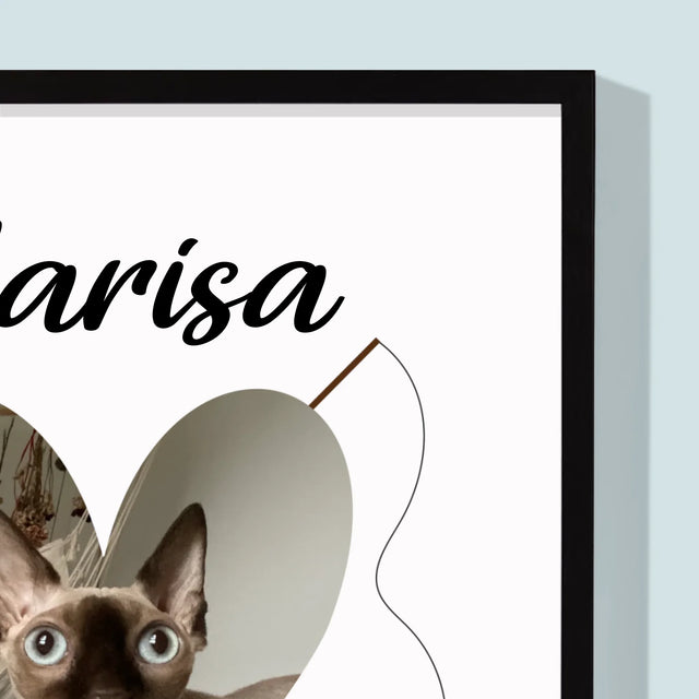 Fotografie Si Semnătură: Mâț Certificat De Naștere  - Imprimare Cu Ramă 30X40 (Verticală)