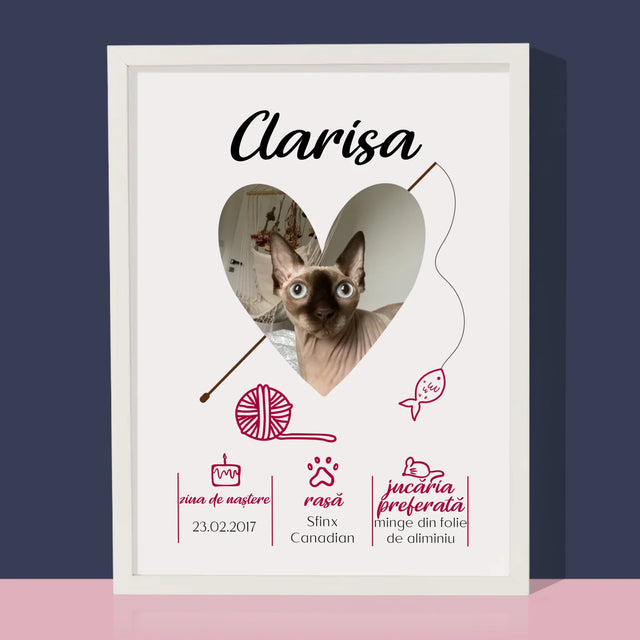 Fotografie Si Semnătură: Mâț Certificat De Naștere  - Imprimare Cu Ramă 30X40 (Verticală)